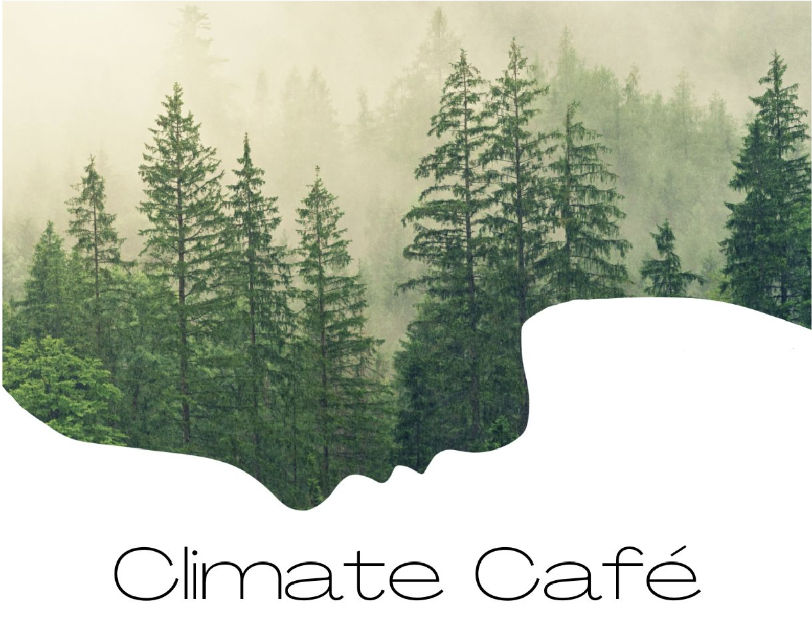 Misty pine wood with the text "Climate Cafe" 