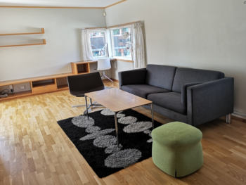 Furniture ,Couch ,Wood ,Interior design ,Window.