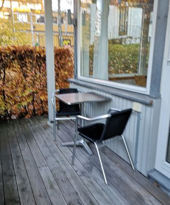 Furniture ,Property ,Plant ,Wood ,Chair.