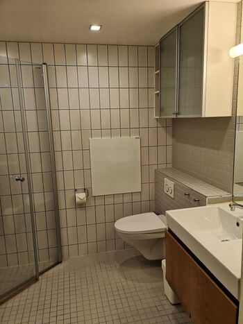 Sink ,Plumbing fixture ,Bathroom sink ,Tap ,Mirror.