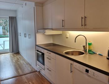 Cabinetry ,Kitchen sink ,Sink ,Countertop ,Property.