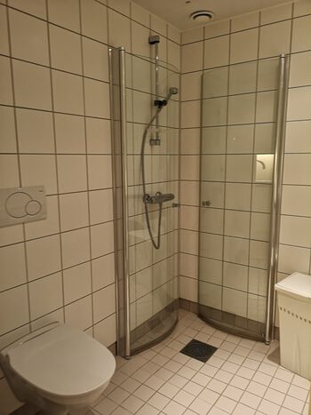 Bathroom ,Fixture ,Plumbing fixture ,Shower ,Flooring.