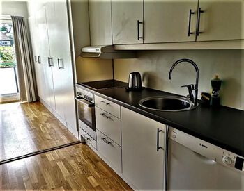 Kitchen sink ,Cabinetry ,Tap ,Sink ,Countertop.