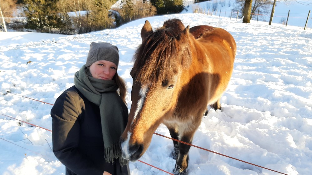 Image may contain: Snow, Horse, Working animal, Freezing, Sorrel.