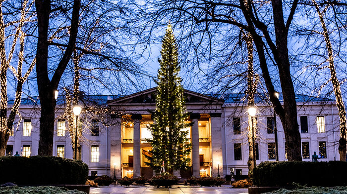 Man ser universitetets aula i skumring, lyst opp av et stort juletre som er plassert foran inngangen med søylene.