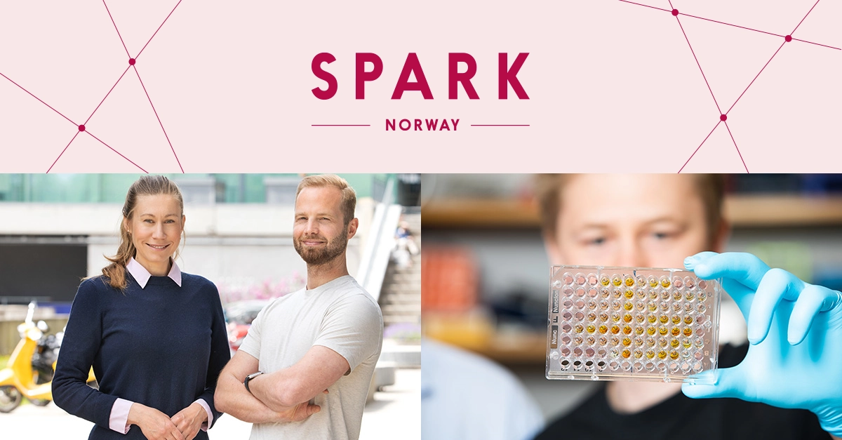 Illustrasjon SPARK Norway prosjekt