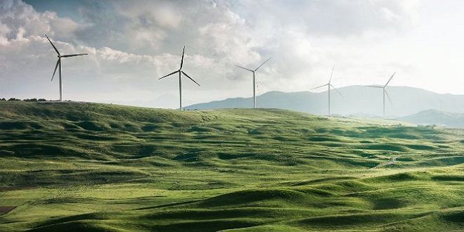 Green fields and wind mills. 