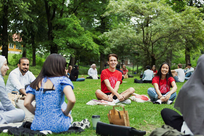 Six students sitting in a ring in the park. 
