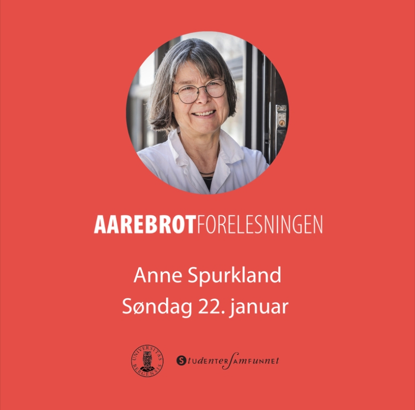 Arrebrotforelesningen 2023 med Anne Spurkland