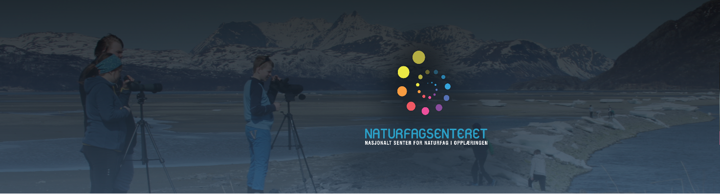 Logo - Naturfagsenteret