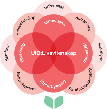 Figur som viser UiO:Livsvitenskap sine hovedmål og ambisjoner 
