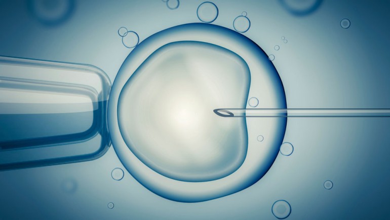 Illustrasjonsfoto iStock, nål som stikkes inn i embryo