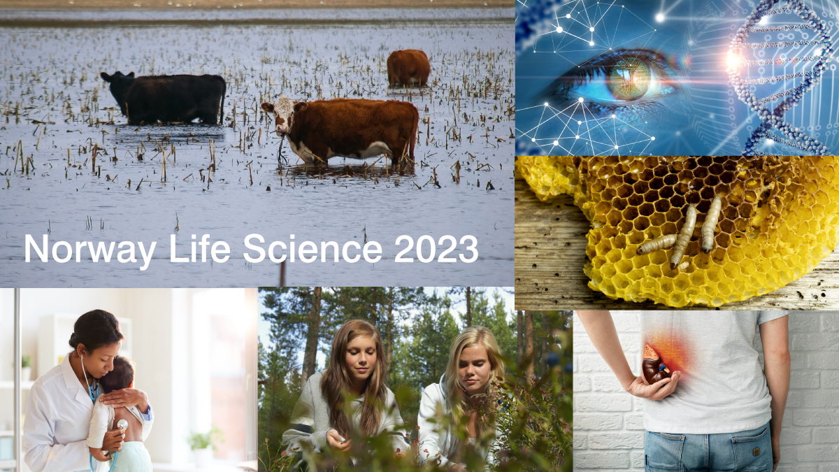 Ilustrasjonsbilde Bioteknologidagen 2023, bestående av flere små bilder. 