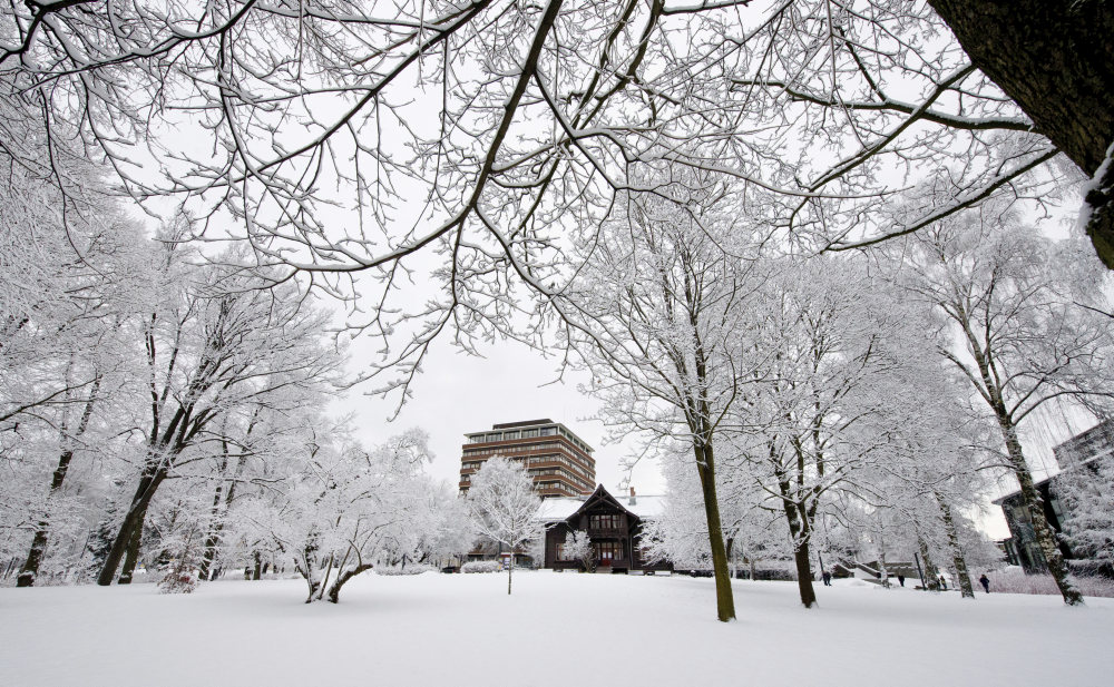 Image of UiO campus i vinterdrakt Foto: Anders Lien/UiO