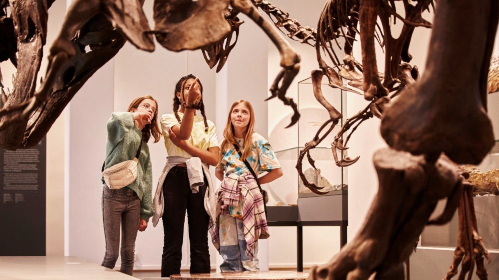 Tre unge jenter ser på et dinosaurskjelett 