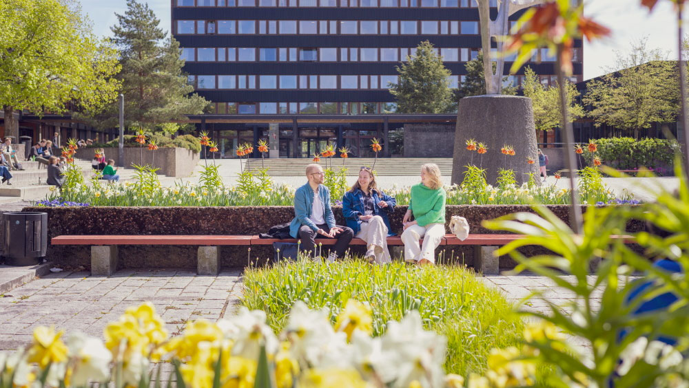 Tre studenter sitter på en benk på en plass på universitetet omringet av planter