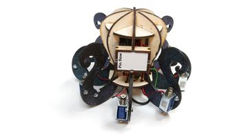 This is how the inside of a Dr. Squiggles robot looks like. The electronics are built into the core of the construction, and the tapping actuators are attached to each of the &quot;feet&quot;.