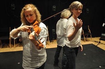 Violin family ,Violin ,Fiddle ,Violinist ,Bowed string instrument.