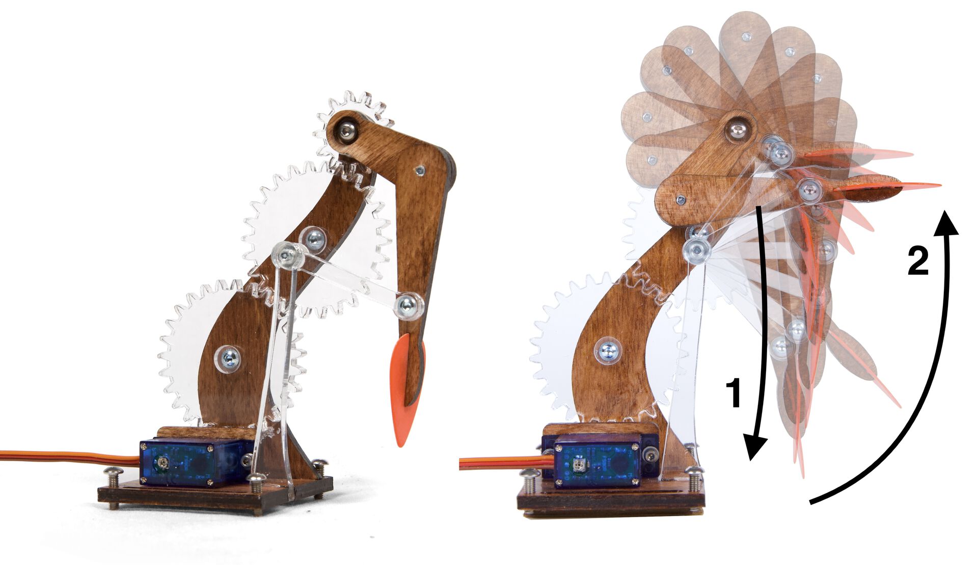 Left: A strange and beautiful crank and rocker linkage with a guitar pick on the end of it. Right: Several superimposed images of the same, showing the crank at many different angles.
