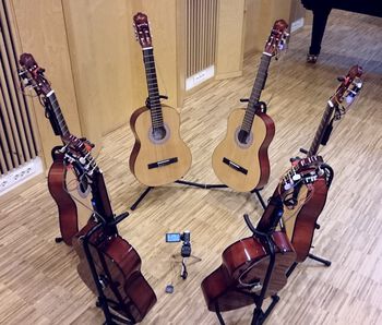 Guitar ,String instrument ,String instrument ,Musical instrument ,Plucked string instruments.