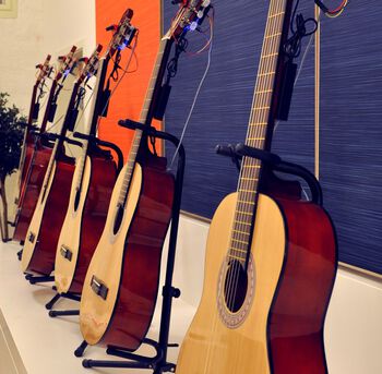 String instrument ,Musical instrument ,String instrument ,Guitar ,Plucked string instruments.