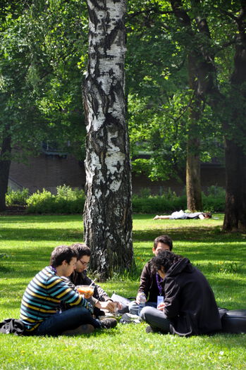 People in nature ,Tree ,Grass ,Green ,Sitting.