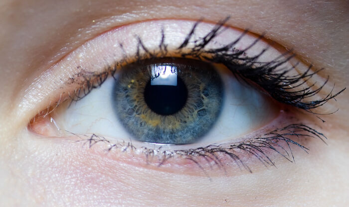Image may contain: Eye, Eyelash, Eyebrow, Iris, Blue.