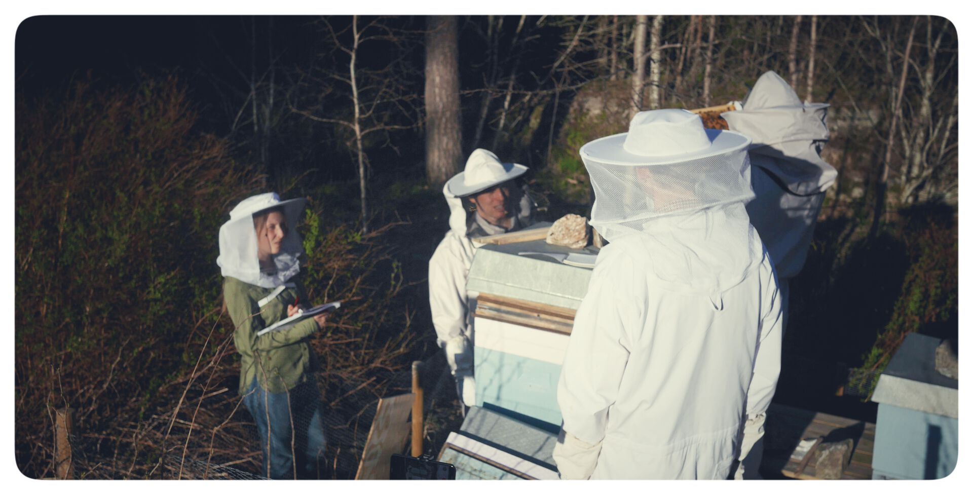 Bildet kan inneholde: birøkter, apiary, bie, bikube, tilpasning.