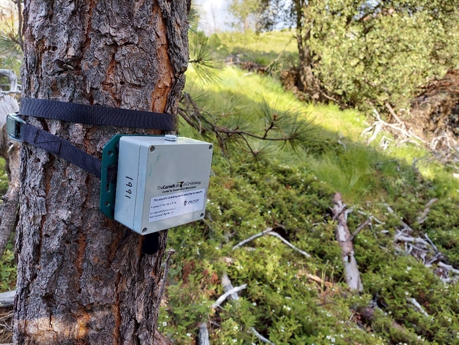 Acoustic equipment mounted on tree