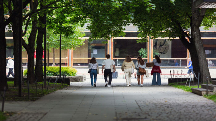 Studenter som går på vei bort fra fotografen, på campus under trær