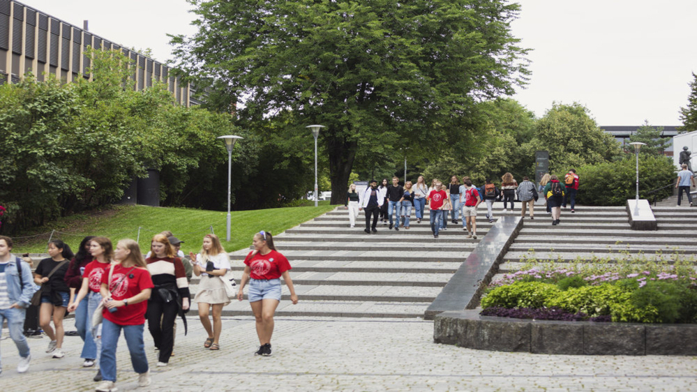 Two separate, walking groups of students and sponsors are in green surroundings by a staircase made of cobblestones.