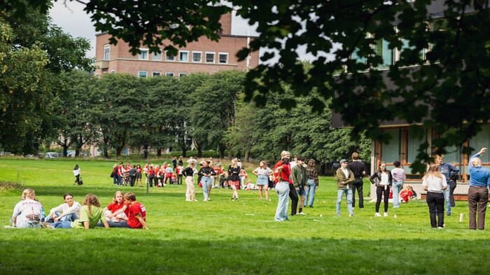 Mange studenter sitter på en grønn plen