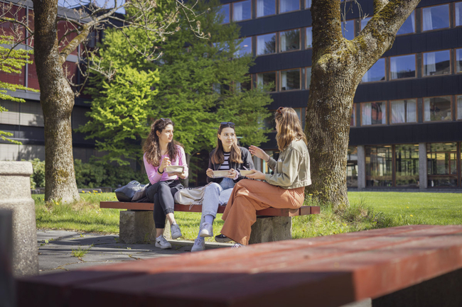 Tre studenter på en benk ved to trær. 