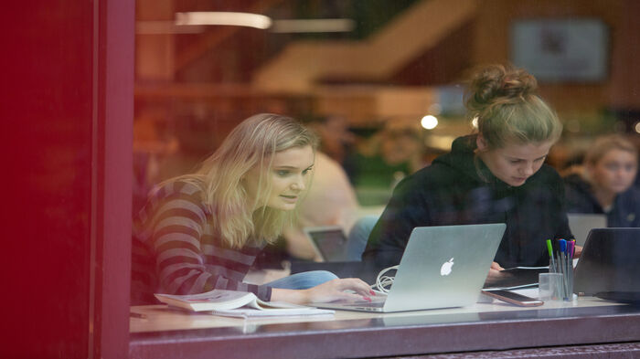 Studenter sitter på PC inne. Foto 