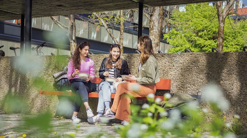 Tre studenter sitter på en bemk på campus og snakker sammen