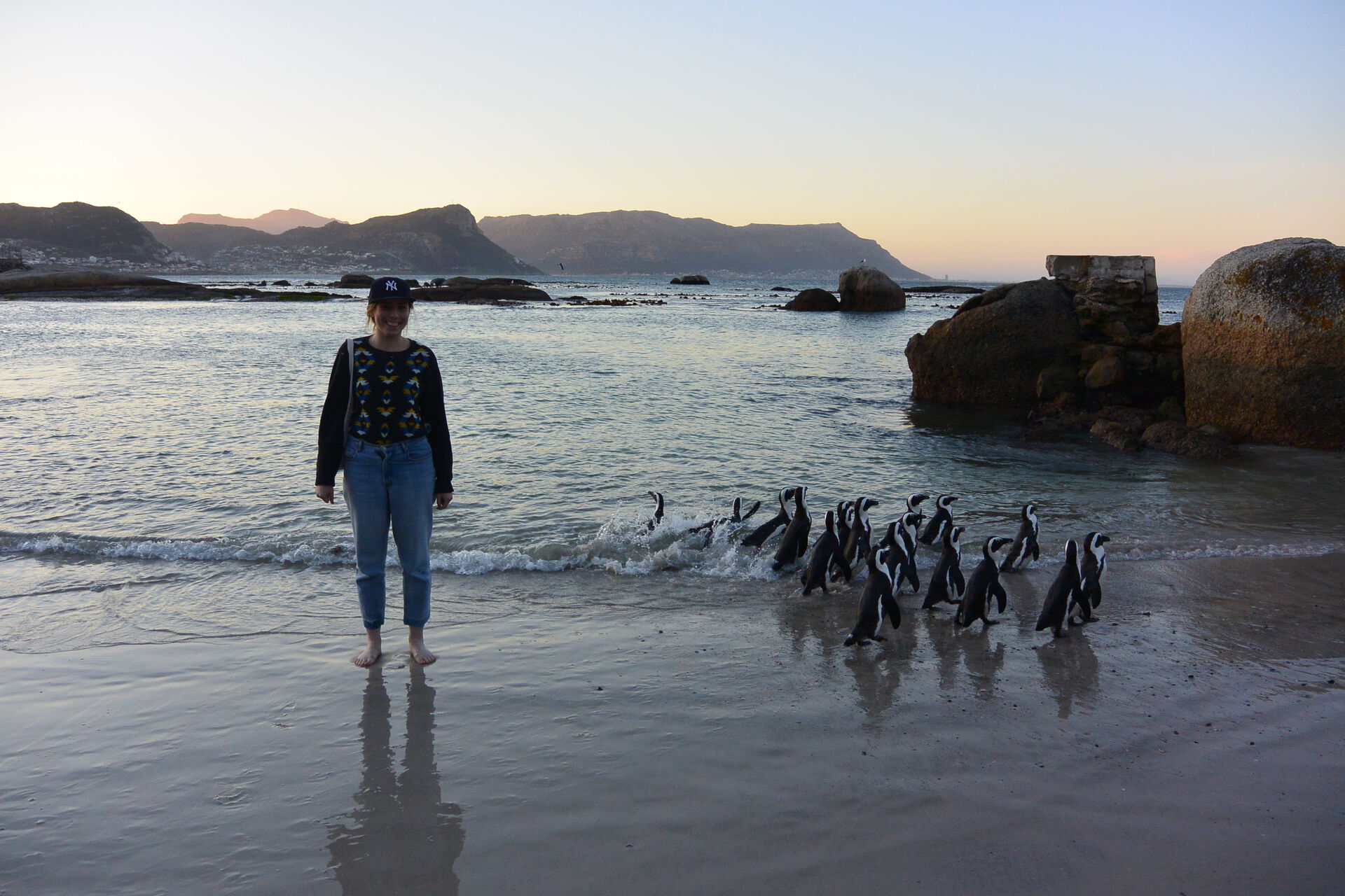 En jente som står på stranden med mange pingviner rundt seg